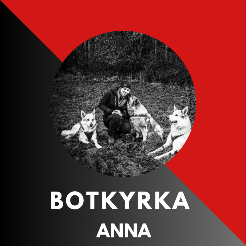 Dogrunner Botkyrka & Tumba